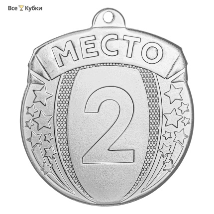 Медаль MZ 113-55/S 2 место (D-55мм, s-2мм)