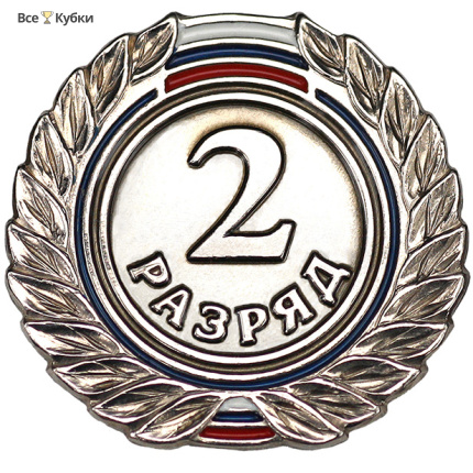 Значок 2 разряд