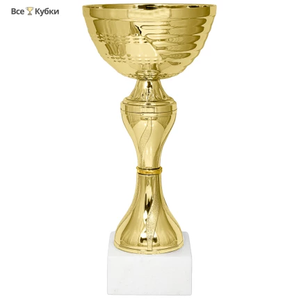 Кубок KB 8433 A (H-21,5 см, D-100 мм)