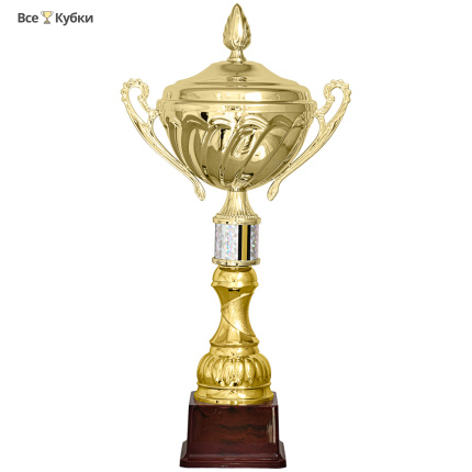 Кубок KB 5016 B (H- 46см, D-160 мм)
