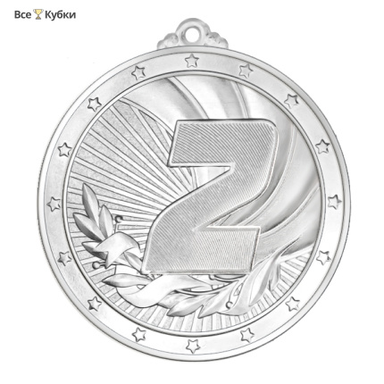 Медаль MZ 31-70/S 2 место (D-70 мм, s-2,5 мм)