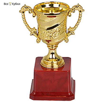 Кубок HB 5011 A (H-19,5 см, D-80 мм)